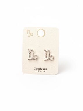 Capricorn Astrological Zodiac Sign Rhinestone Silver Earrings Dec 22 - Jan 19